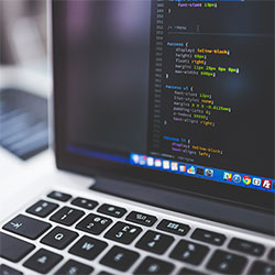 樱花动漫官网官方樱花网站：春日里的正版动漫体验之旅