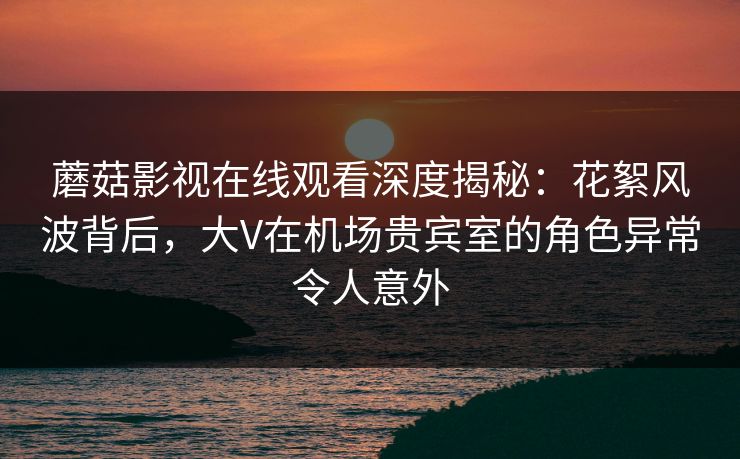 蘑菇影视在线观看深度揭秘：花絮风波背后，大V在机场贵宾室的角色异常令人意外