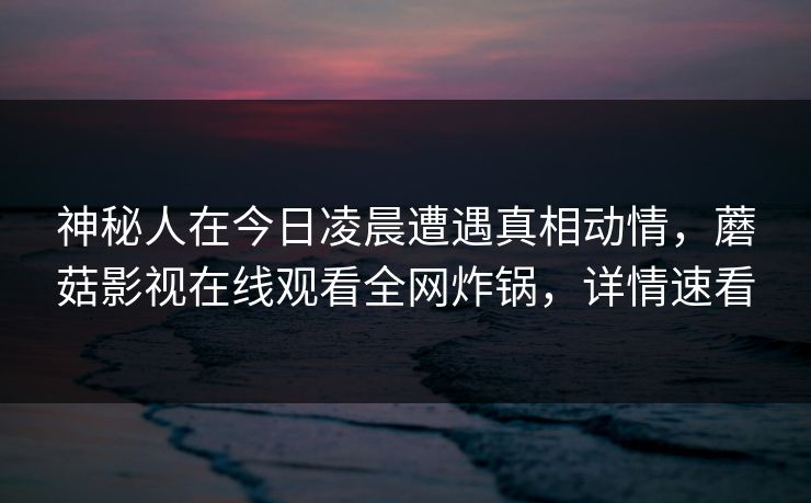神秘人在今日凌晨遭遇真相动情，蘑菇影视在线观看全网炸锅，详情速看