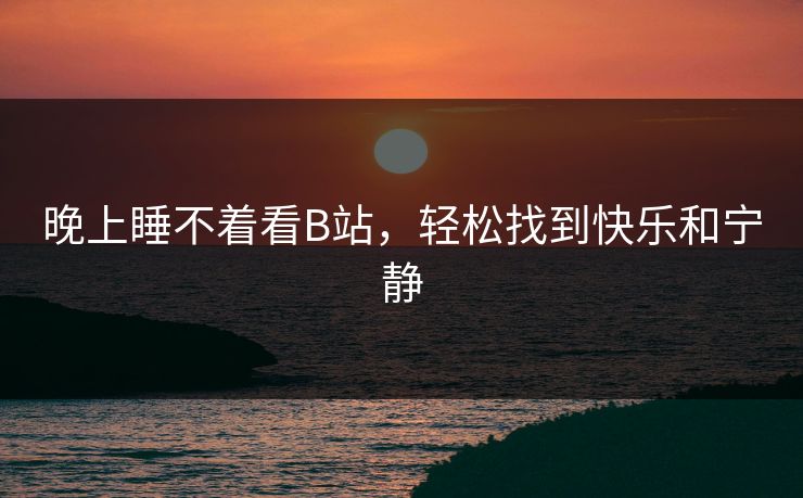 晚上睡不着看B站，轻松找到快乐和宁静