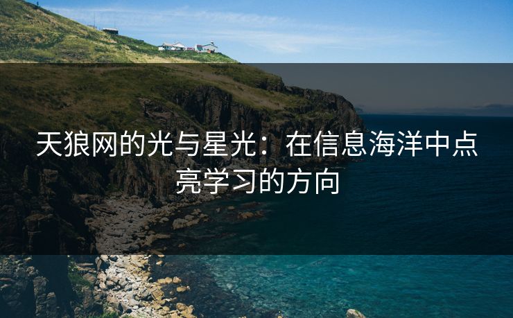 天狼网的光与星光:在信息海洋中点亮学习的方向