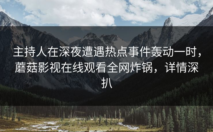 主持人在深夜遭遇热点事件轰动一时,蘑菇影视在线观看全网炸锅,详情深扒