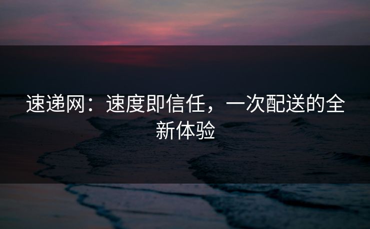 速递网:速度即信任,一次配送的全新体验
